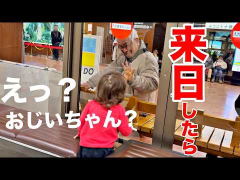 遂に東京到着！息子達、大興奮！日本の祖父と1年ぶりに再会したら