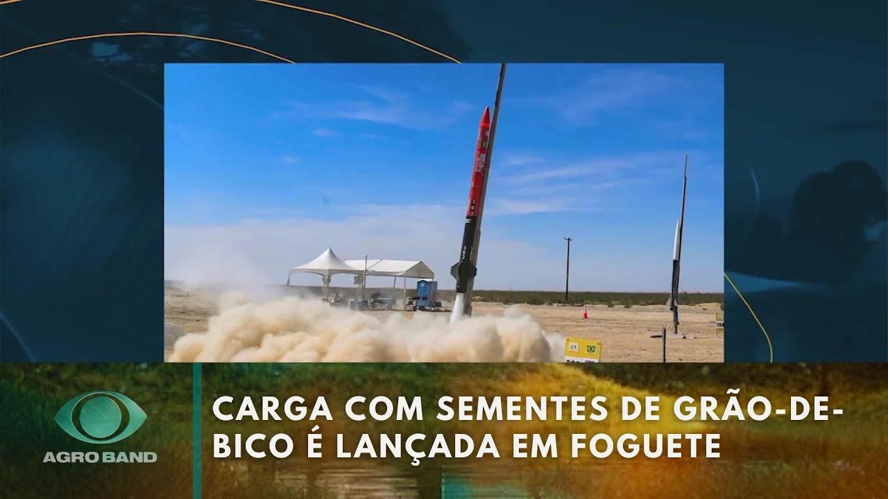 Giro Brasil: vazio sanitário da soja, café, grão-de-bico em foguete
