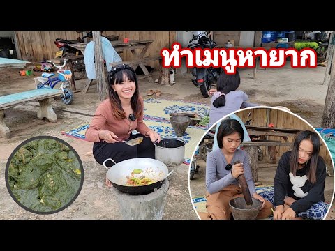 ทิพย์เข้าครัวแกงผำอาหารหายากนา ทิพย์เข้าครัวแกงผำอาหารหายากนา