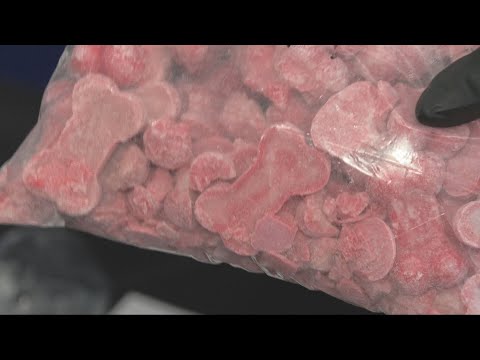 Drug bust finds fentanyl disguised as dog treats in British Columbia