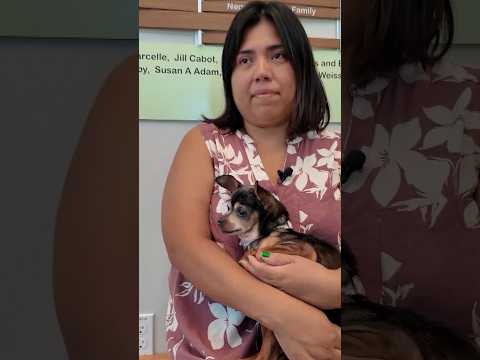 Woman reunited with her dog 12 years after it went missing