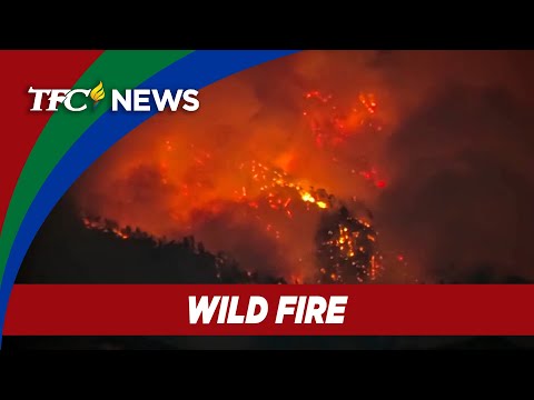 Hundreds of firefighters gain ground on Southern California's major wildfires | TFC News USA