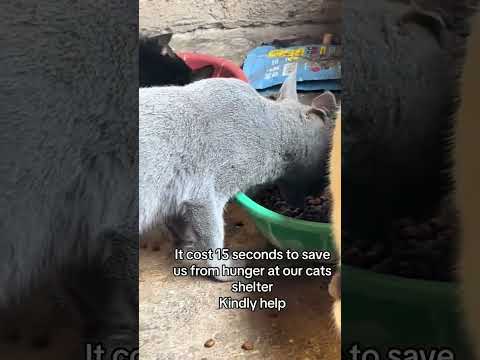 please support my work