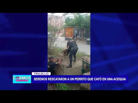 Trujillo: Serenos rescataron a un perrito que cayó en una acequia