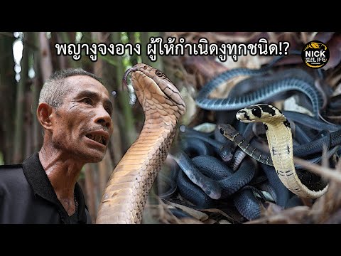 ลุยดิบEP.113พญางูจงอางผู้ให