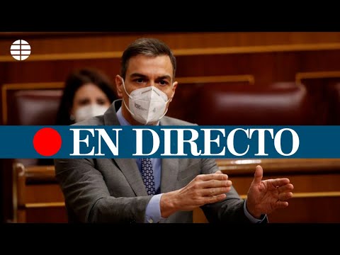 DIRECTO | Pedro Sánchez comparece en el Congreso de los Diputados