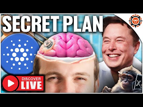Cardano Secret Revealed! (Elon Musk Neuralink Put In Human)