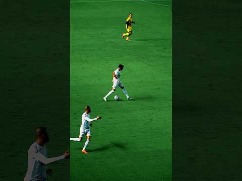 image para ilustrar o artigo