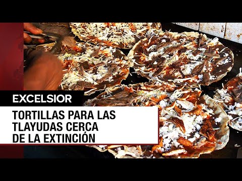 Tortillas para las tlayudas en posible peligro de extinción