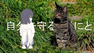 【歌ってみた】知らんけど / あくたり【 #千歳愛 / VTuber / ボカロオリジナル歌ってみた 】