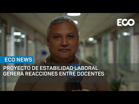 Gremios magisteriales: Proyecto de estabilidad laboral afectará traslados de docentes | #EcoNews