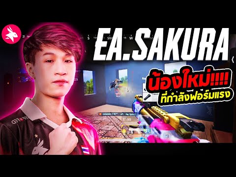 PUBGMobile:EA.Sakuraน้องให