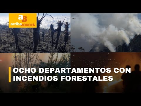 MinAmbiente confirmó 12 incendios activos en Colombia | CityTv
