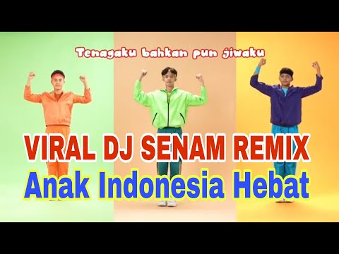 SENAM DJ REMIX ANAK INDONESIA HEBAT