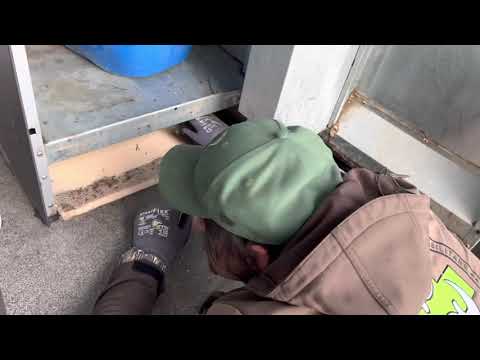 Snake under a coffee dispenser rescue