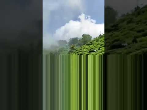 new vlog short #shorts#shortvideo#viralshorts#viralvideo