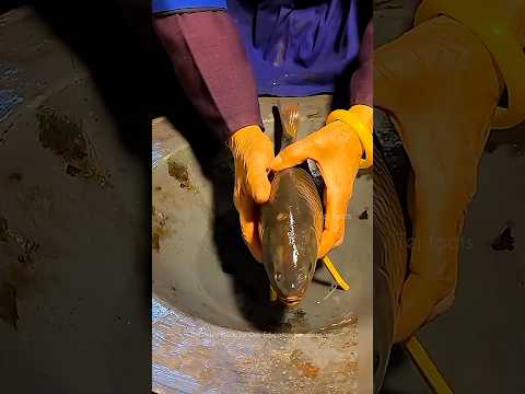 Fish Bones Recipe 🤯 #telugufacts #amazingfacts #interestingfacts #shorts #tejfacts