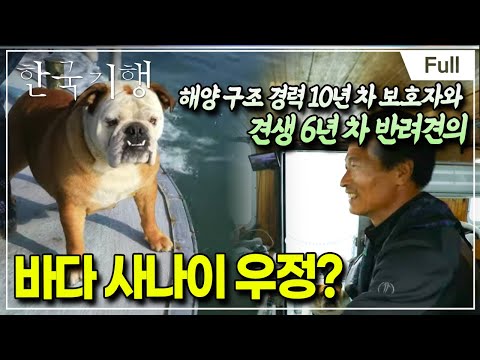 [Full] 한국기행 - 시선기행 나는 견이다 2 제1부 저 바다에 눈부시'개'