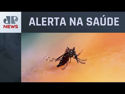 Fatalidades por dengue em SP aumentam 73% em uma semana