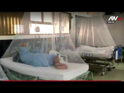 Minsa declara 59 distritos en emergencia sanitaria por dengue