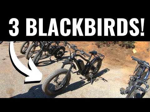 I'm Giving away 3 Area 13 BlackBird Electric Bikes!