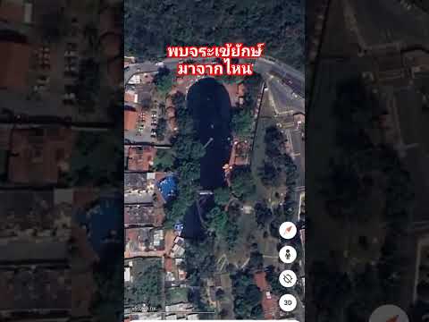 GoogleEarthน้ำท่วมพบจระเข้ยั