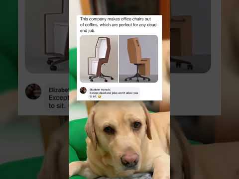 #memes #story #dog #shorts #pets
