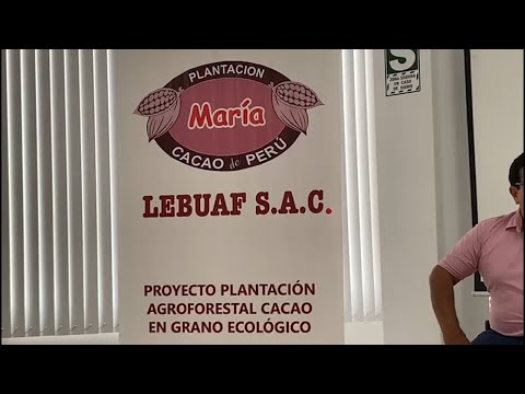 Empresa propietaria de la otrora mayor plantación de cacao del Perú denuncia a la Drasam por trabas