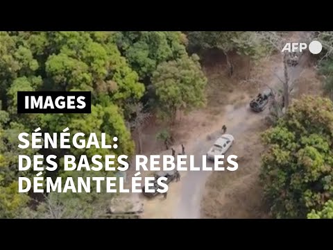 Sénégal: l'armée démantèle des bases de la rebellion armée en Casamance | AFP Images