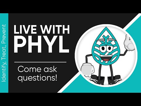 Aquascape Guide is live! - Trimming up the 6g Nano Phyl does a water change and trim on his 6g nano aquarium. We talk about ASGs mini canister, a few t