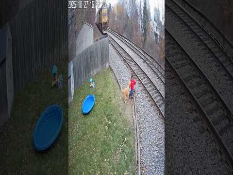 CCTV Captures Dog Saving Boy from Oncoming Train #DogSavesBoy #HeroDog #CaughtonCamera #CCTVFootage