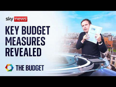 BREAKING: Budget released by accident by OBR