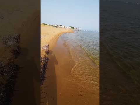Issos Beach, Corfu 2025 🇬🇷 #corfu #greece #beach #paralia #walking #travel #walker #summer #vacation