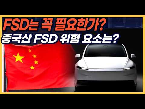 FSD는 꼭 필요한가? 중국산 FSD의 위험 요소는?