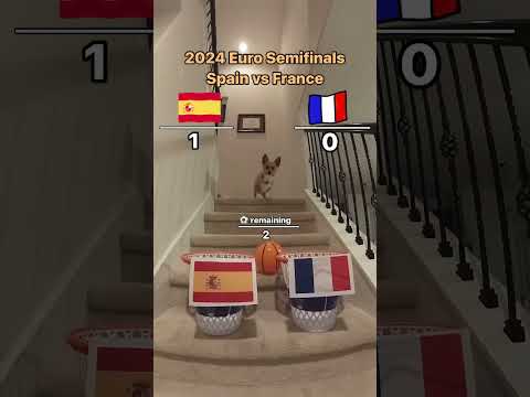 El PRONÓSTICO del PERRO infalible del ESPAÑA-FRANCIA| EUROCOPA 2024