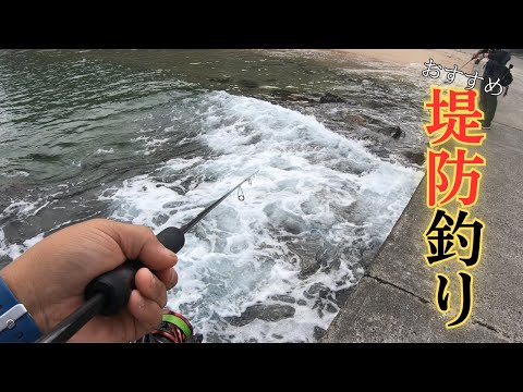 #423 【ちょい投げ】堤防から狙うキス場所さえ見つけたら簡単に…