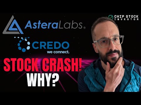 Why Did Astera Labs, Credo Technology, and Other Hot Stocks "Crash"?
