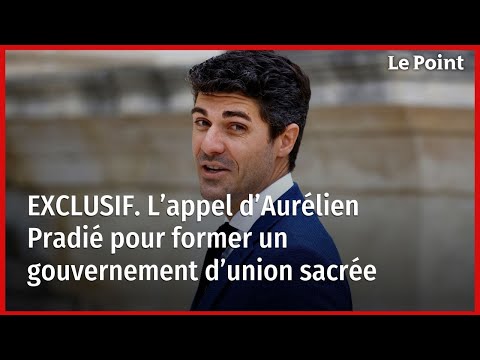 EXCLUSIF. L’appel d’Aurélien Pradié pour former un gouvernement d’union sacrée