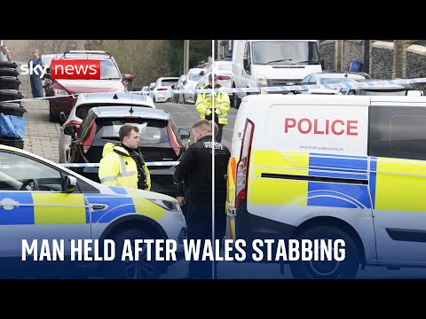BREAKING: Manhunt under way after pregnant woman stabbed in South Wales