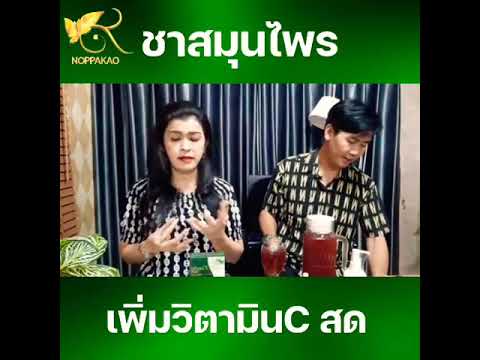 ชาสมุนไพรเพิ่มวิตามินซีสดๆ ชาสมุนไพรเพิ่มวิตามินซีสดๆ