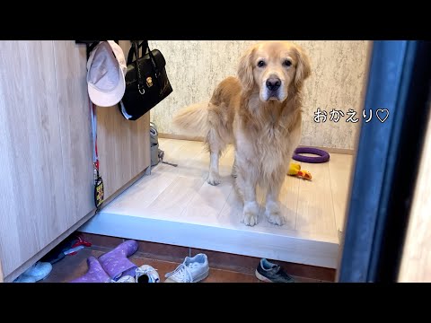 母の帰ったときの、娘と愛犬の対応の差よ…