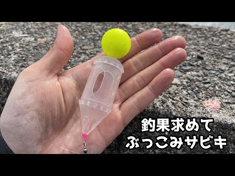 釣果求めてぶっこみサビキ