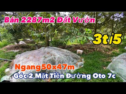 MAP ĐẤT VIỆT - mapdatviet.com Tập 3386 Bán 2 Công 2 Vườn Trồng Sầu Riềng.Ngang50x47m 2 Mặt Tiền Đường Oto
