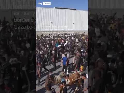 Palestinians storm World Food Program warehouse as Gaza on the brink of famine