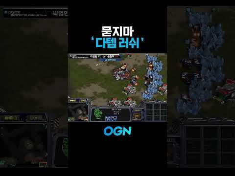 일명 '묻지마' 다템 <strong>러쉬</strong>