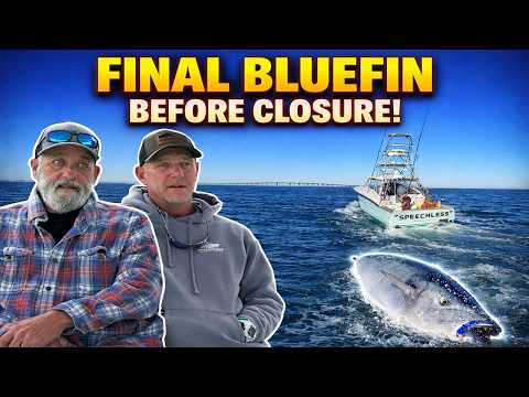 The bluefin tuna quota is gone!! (our last chance to make a few $$$) video thumbnail