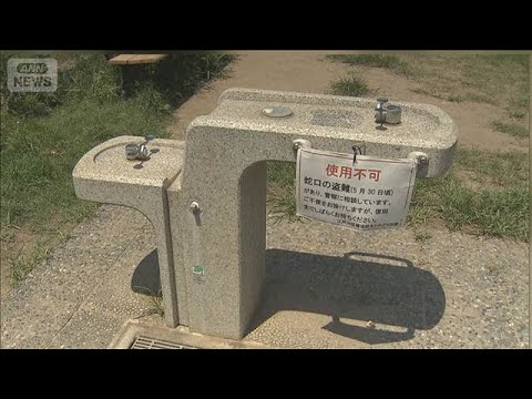 ニュースの動画サムネイル - 東京・江戸川区の公園 水道の蛇口の盗難被害相次ぐ(2025年7月4日)