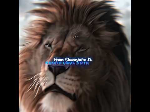 "Jungle Ka Ek Hi Raja – Nawab vs Sher"#JungleKaRaja #NawabVsSher#PowerOfLion