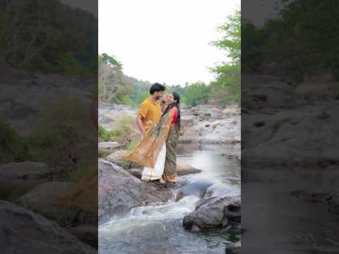 Kaattu Chembakam🌼 #shorts #trendingonshorts #love