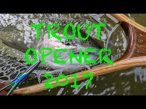 steelhead  trout opener 2017 video is live